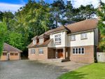Thumbnail for sale in The Warren, Kingswood, Surrey