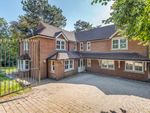 Thumbnail to rent in Arbour Lane, Old Springfield, Chelmsford