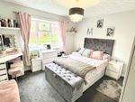 Thumbnail to rent in Dimmocks Avenue, Bilston