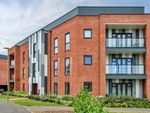 Thumbnail to rent in Brocade Road, Andover, Hampshire