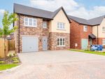 Thumbnail for sale in Wintergreen Drive, Dumfries