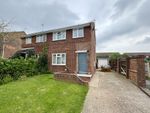 Thumbnail for sale in Fern Close, Eastbourne, East Sussex
