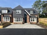 Thumbnail to rent in Oak's Drive, Ringwood, Hampshire
