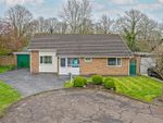 Thumbnail for sale in Portola Close, Grappenhall, Warrington