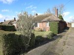 Thumbnail for sale in Coopers Close, Stetchworth, Newmarket