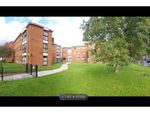 Thumbnail to rent in Allison Court, Reading