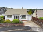 Thumbnail for sale in Laura Grove, Paignton