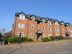 Thumbnail to rent in Florence Court, Alma Road, St Albans