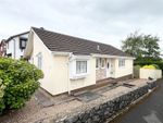 Thumbnail for sale in Hound Tor Close, Hookhills, Paignton