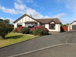 Thumbnail for sale in Bluefield Park, Carrickfergus, County Antrim