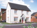 Thumbnail to rent in "The Spruce" at Stansfield Grove, Kenilworth
