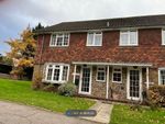 Thumbnail to rent in The Street, Effingham, Leatherhead