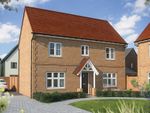 Thumbnail to rent in "The Spruce" at Shorthorn Drive, Whitehouse, Milton Keynes