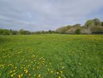 Thumbnail for sale in Byers Green, Spennymoor, County Durham