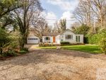 Thumbnail for sale in Southwood Chase, Danbury, Chelmsford