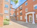 Thumbnail to rent in Milliners Court, Lattimore Road, St Albans, Herts