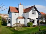 Thumbnail to rent in St. Abbs Road, Coldingham