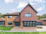 Thumbnail for sale in Sunte Park, Haywards Heath