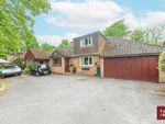 Thumbnail to rent in The Birches, Lower Wokingham Road, Crowthorne