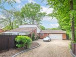 Thumbnail for sale in Firway, Welwyn, Hertfordshire