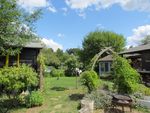 Thumbnail to rent in Laleham Reach, Chertsey