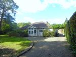 Thumbnail to rent in Lower Road, Great Bookham, Bookham, Leatherhead