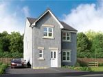 Thumbnail to rent in "Blackwood" at Off Craigmill Road, Strathmartine, Dundee