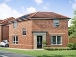 Thumbnail to rent in "Ancona" at Bent House Lane, Durham