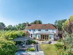 Thumbnail to rent in Smithwood Common, Cranleigh, Surrey