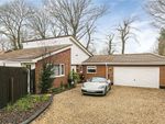 Thumbnail to rent in Firway, Welwyn, Hertfordshire