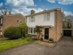 Thumbnail to rent in Overford Drive, Cranleigh