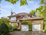 Thumbnail to rent in Withdean Road, Brighton, East Sussex