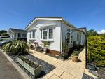 Thumbnail for sale in Eastbourne Heights, Oak Tree Lane, Eastbourne, East Sussex