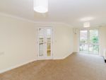 Thumbnail for sale in Albany Court, Paignton