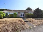 Thumbnail to rent in Four Wents, Cobham, Surrey