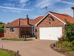 Thumbnail for sale in Beckside Manor, Roos, Hull, East Yorkshire