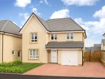 Thumbnail to rent in "Cullen" at Auchinleck Road, Glasgow