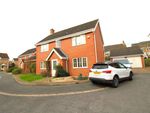 Thumbnail to rent in Speedwell Way, Norwich
