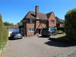 Thumbnail for sale in Melvill Lane, Willingdon, Eastbourne