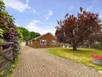 Thumbnail for sale in Chase Road, Lindford, Bordon, Hampshire