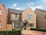 Thumbnail to rent in "The Gisburn" at Desborough Road, Rothwell, Kettering