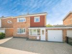 Thumbnail to rent in St. Mark Drive, Colchester