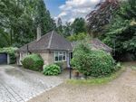 Thumbnail for sale in Ottershaw, Chertsey, Surrey
