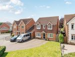 Thumbnail to rent in Gables Lea, Willand, Cullompton