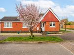 Thumbnail for sale in Cherry Tree Avenue, Martham, Great Yarmouth