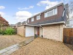 Thumbnail to rent in Scratchface Lane, Bedhampton, Havant