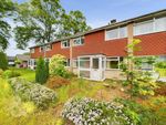Thumbnail to rent in The Close, Brundall, Norwich
