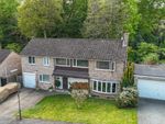 Thumbnail to rent in Hambleton Close, Frimley, Camberley