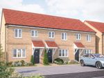 Thumbnail to rent in "The Magnolia" at Shorthorn Drive, Whitehouse, Milton Keynes