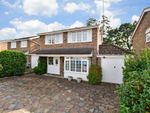 Thumbnail for sale in New Place Road, Pulborough, West Sussex